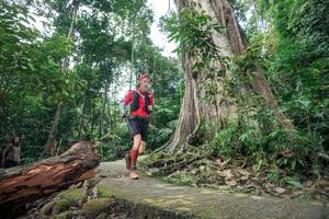 BIB: 
                            <button type="button" onclick="openModal(24809703)" class="btn btn-primary btn-sm float-right btn-popup" data-toggle="modal" data-target=".modal-high-quality">
                        <i class="fas fa-shopping-cart"></i> Add to Cart
                    </button>
                                            <button type="button" onclick="isThisMe(24809703, true)" class="btn btn-success btn-sm float-right btn-popup btn-isme hidden" data-toggle="tooltip" data-placement="bottom" title="นี่คือรูปของคุณใช่ไหม คลิกที่นี่เพื่อเอาเข้าอัลบั้ม">
                        <i class="fas fa-plus"></i> Add to album
                    </button>
                    <button type="button" onclick="isThisMe(24809703, false)" class="btn btn-warning btn-sm float-right btn-popup btn-isnotme hidden">
                        <i class="fas fa-ban"></i> Remove from album
                    </button>